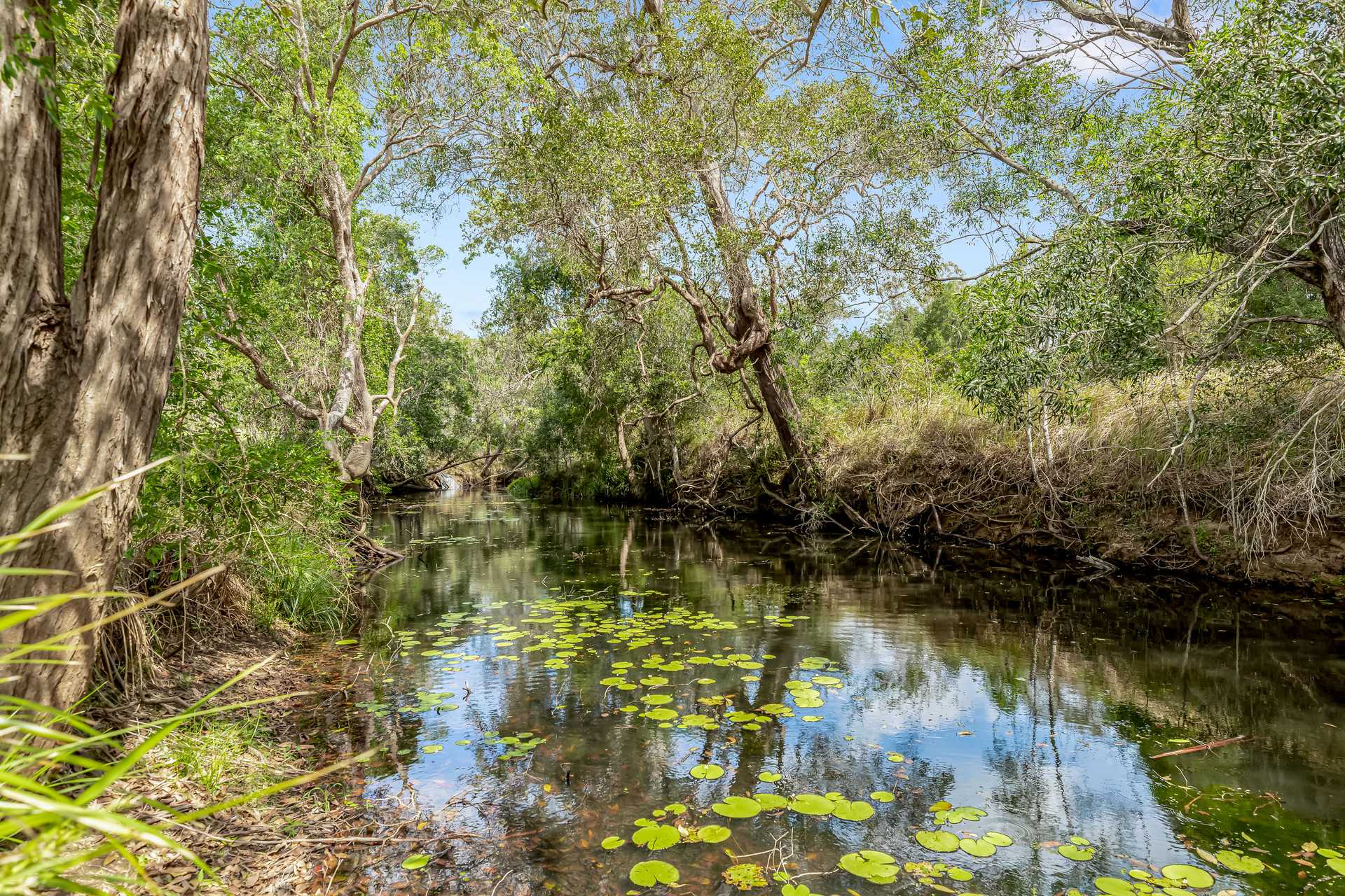 acreage property for sale QLD