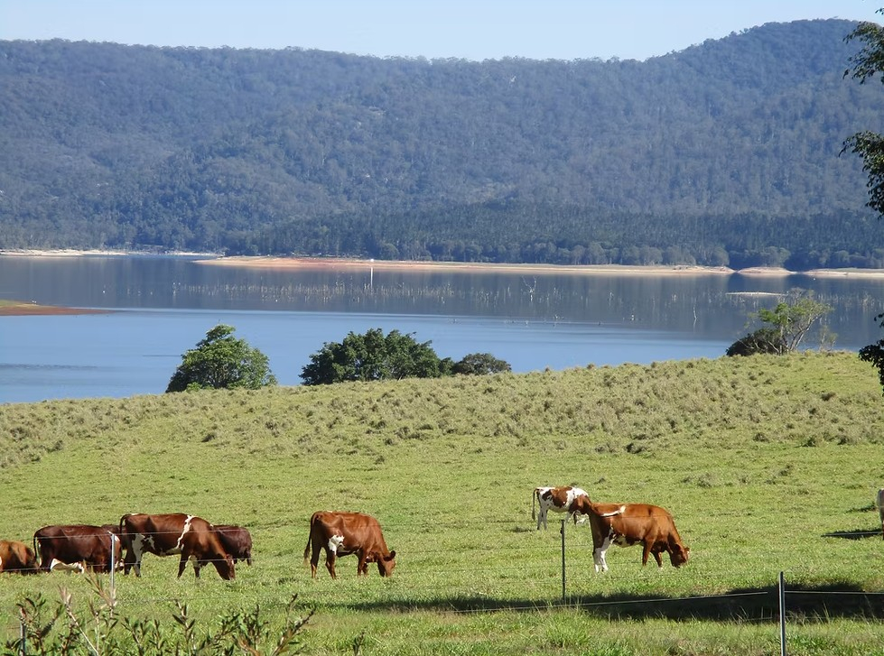 rural property for sale QLD