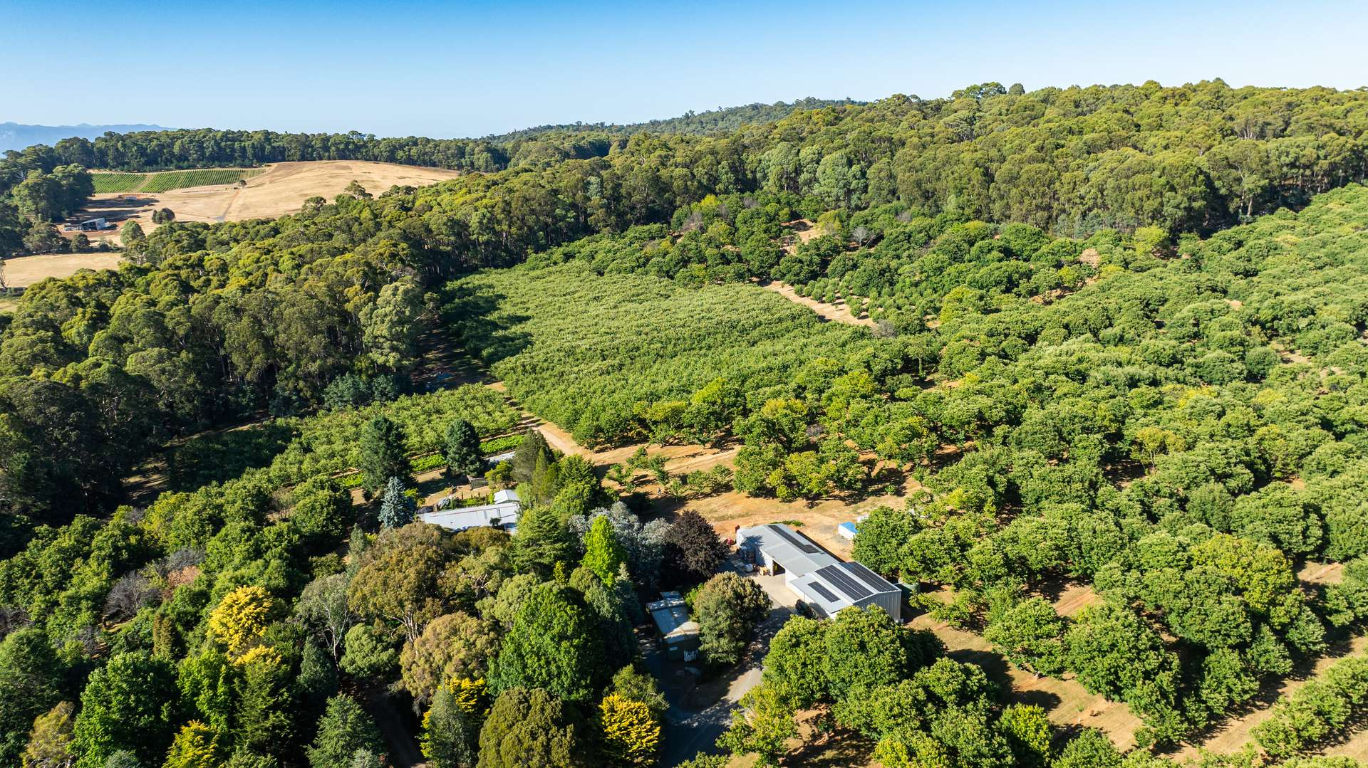 rural property for sale VIC