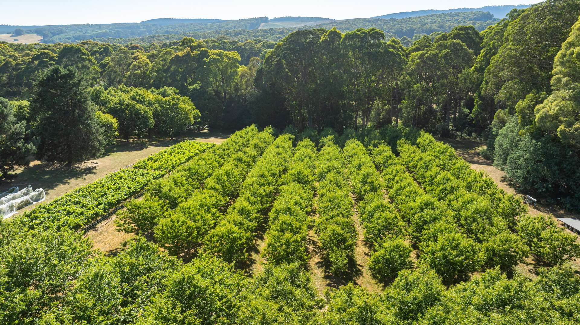 rural property for sale VIC