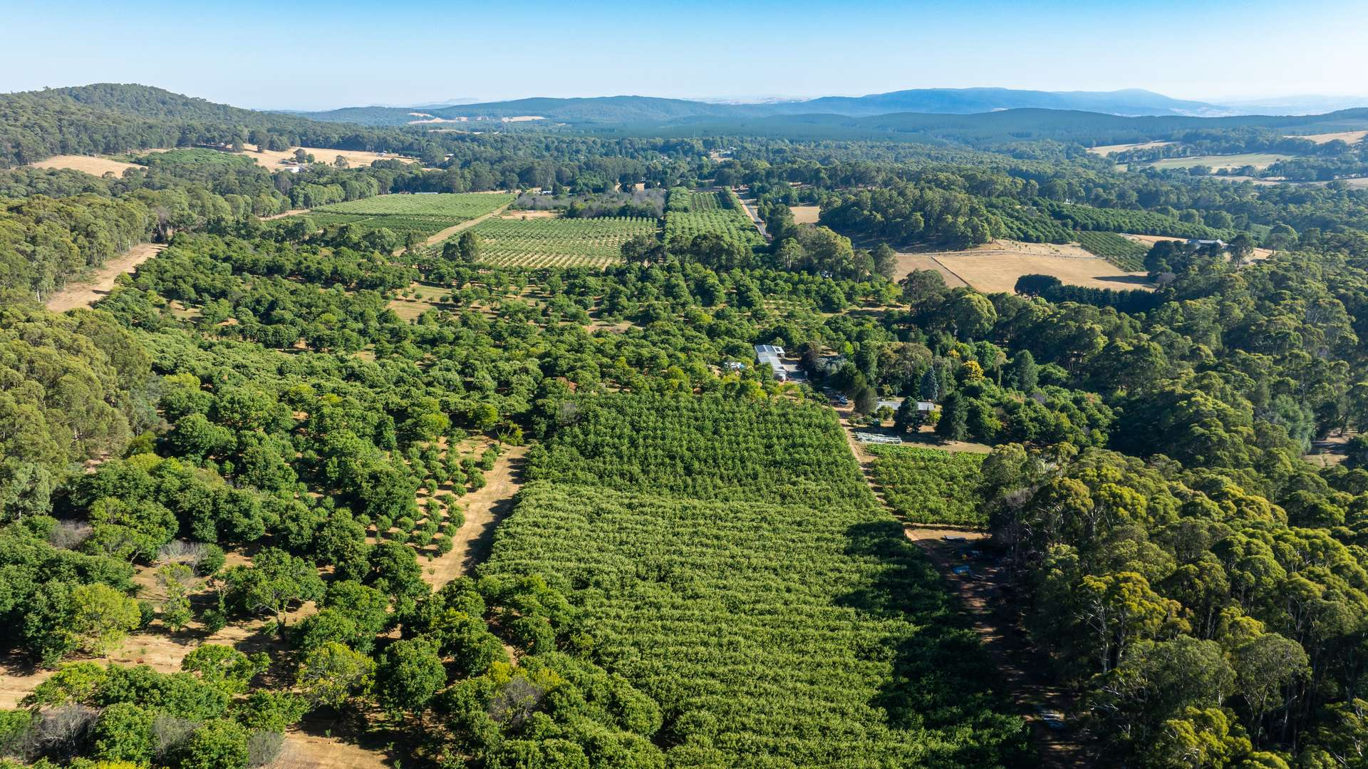 rural property for sale VIC