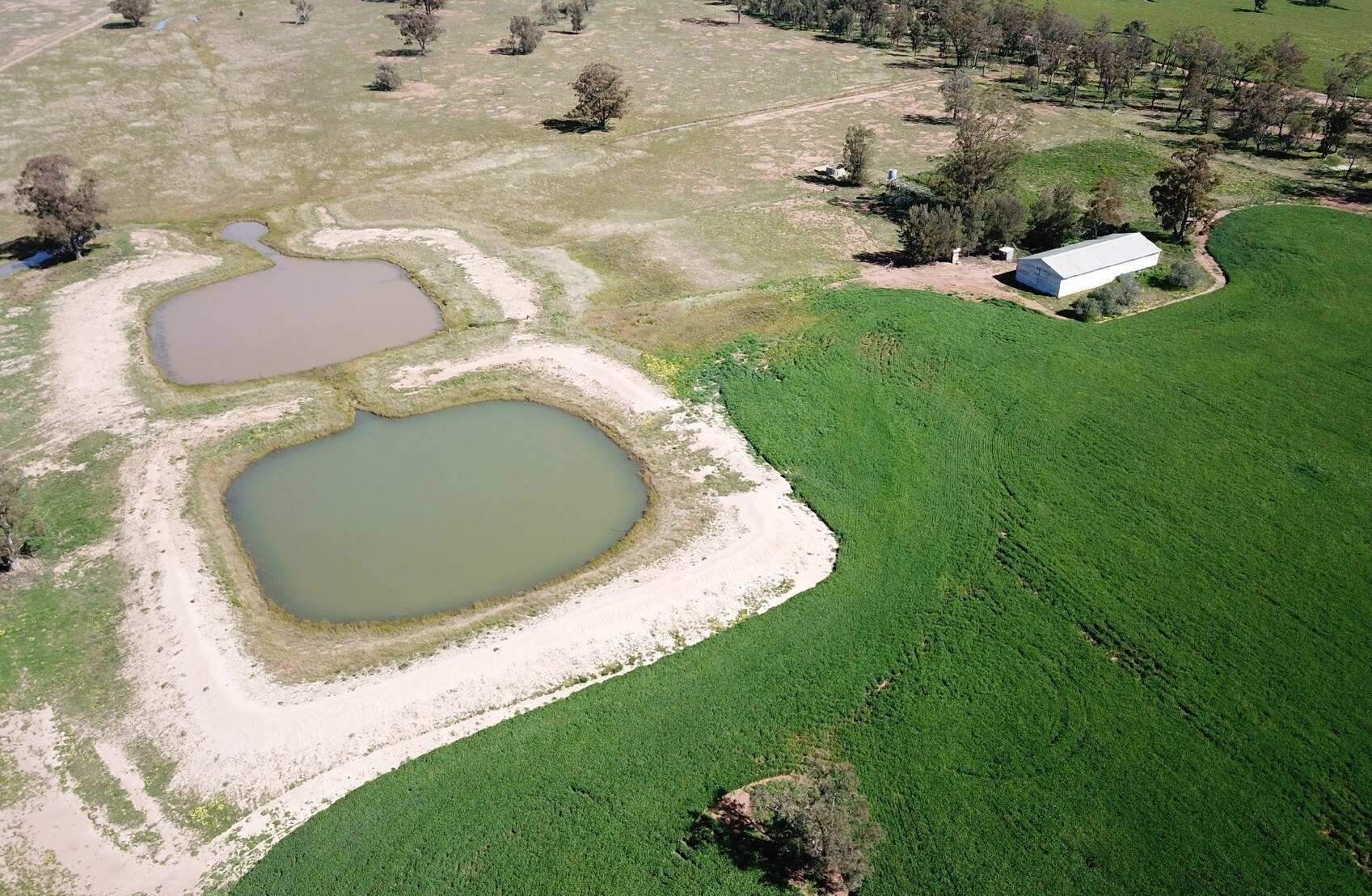 rural property for sale NSW