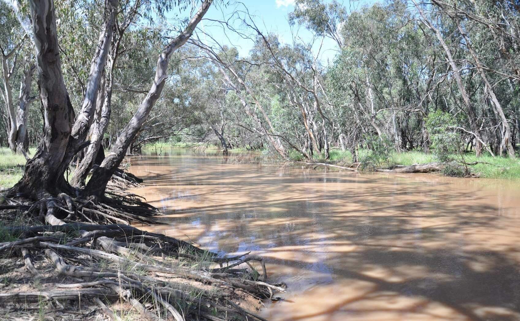 rural property for sale NSW