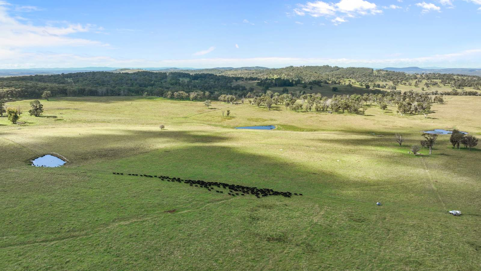 Cattle Property For Sale NSW