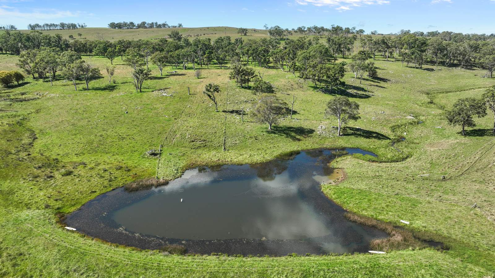 Cattle Property For Sale NSW
