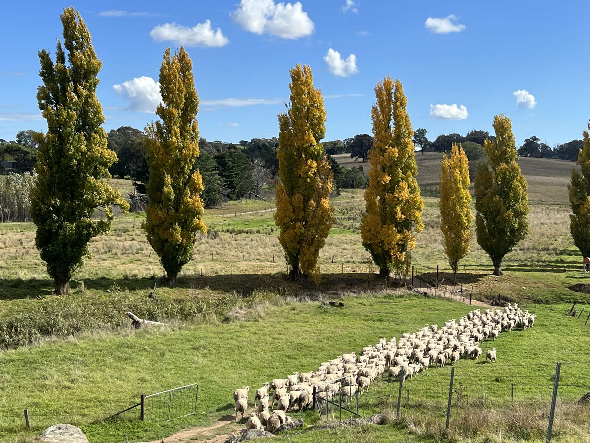 rural property for sale NSW