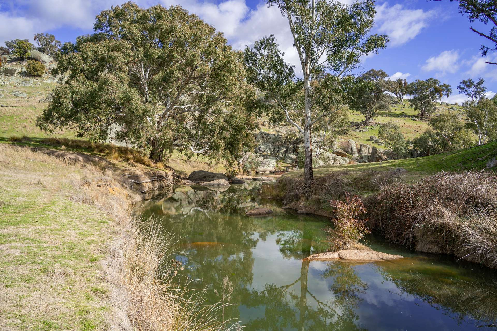 rural property for sale NSW