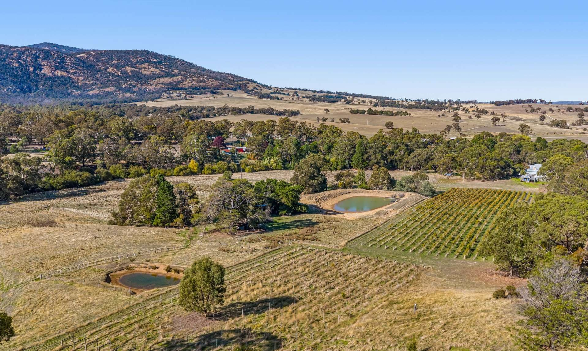Vineyard For Sale VIC