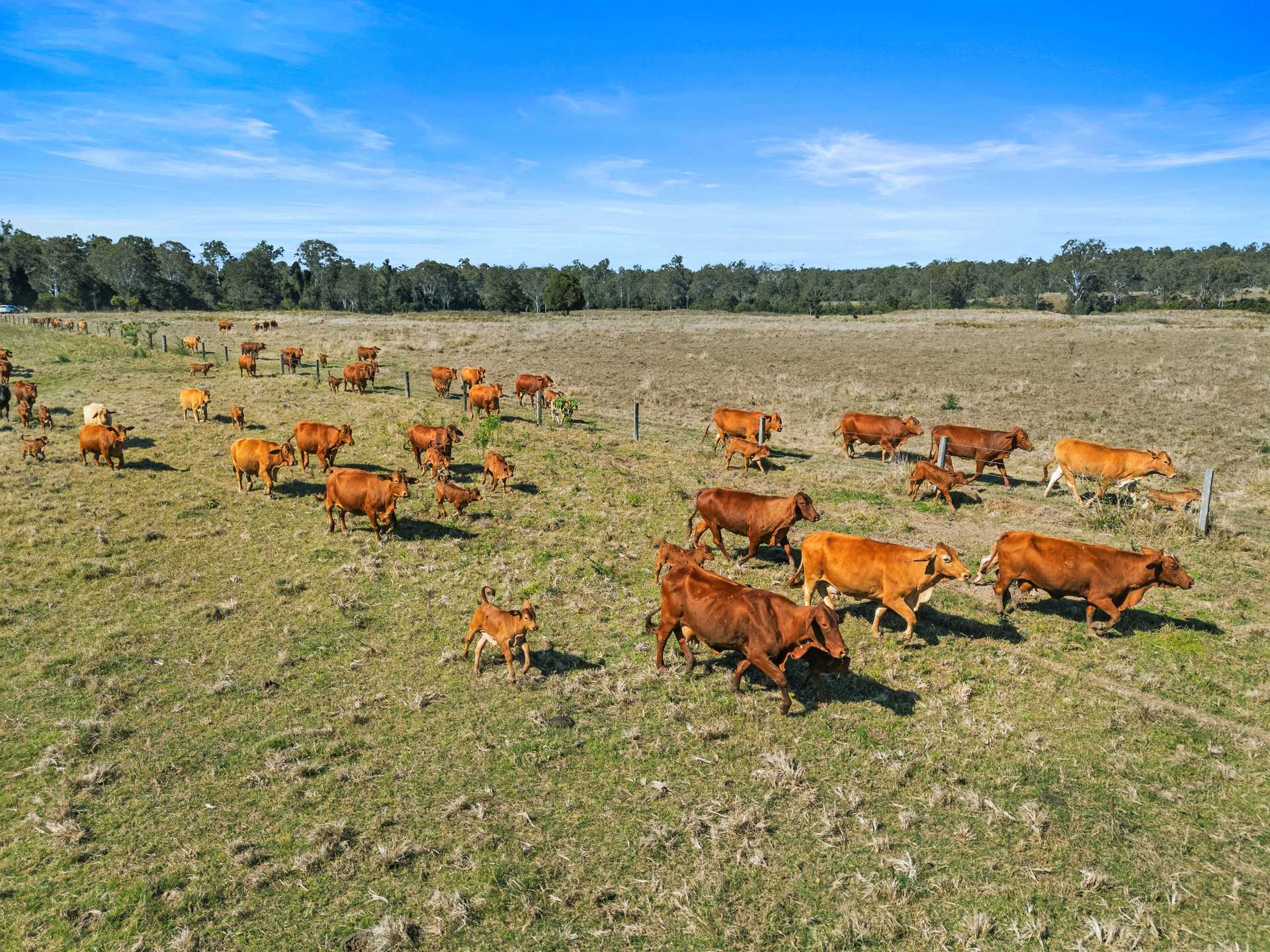 rural property for sale QLD