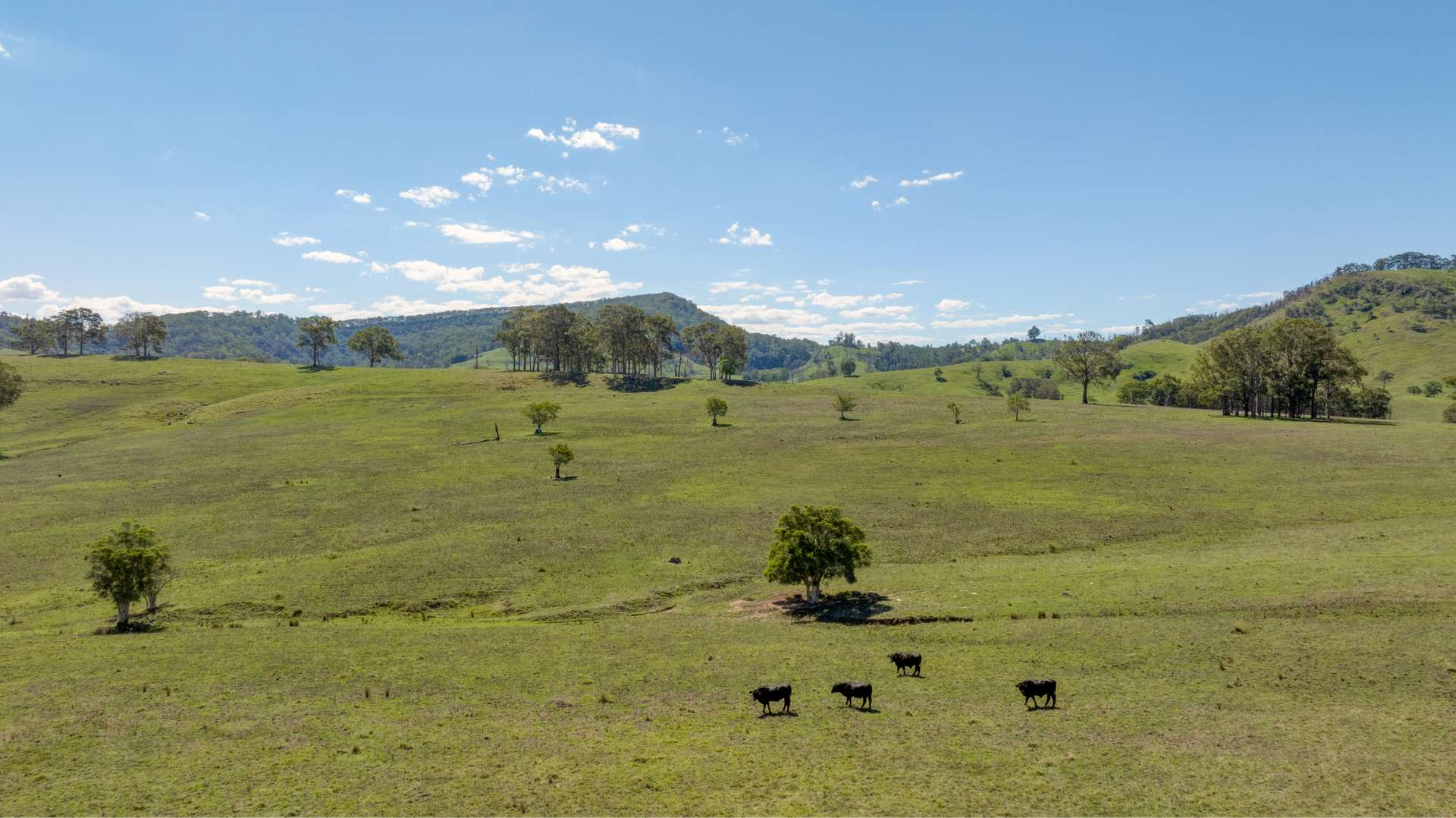 rural property for sale NSW