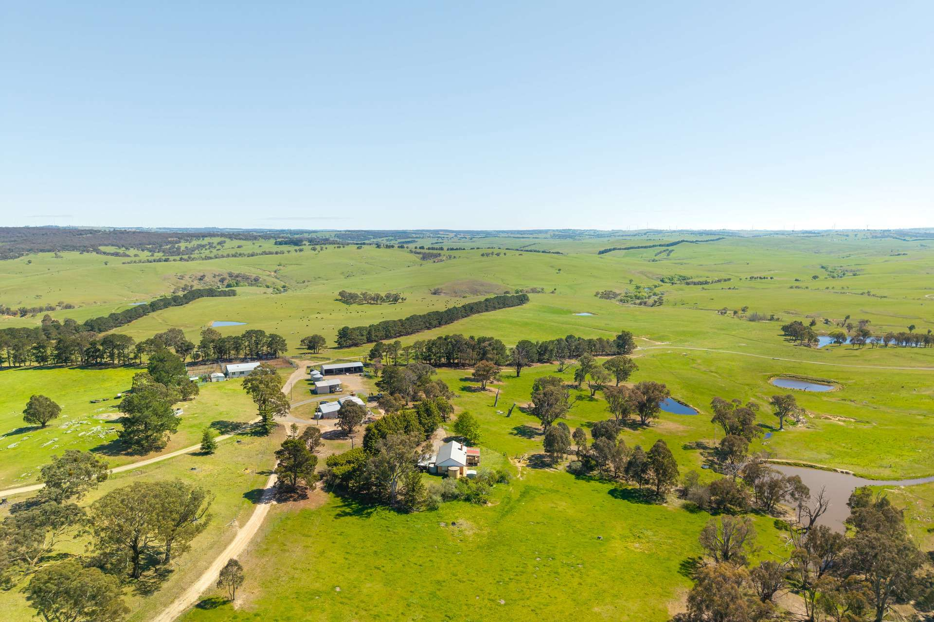 cattle and sheep properties for sale NSW