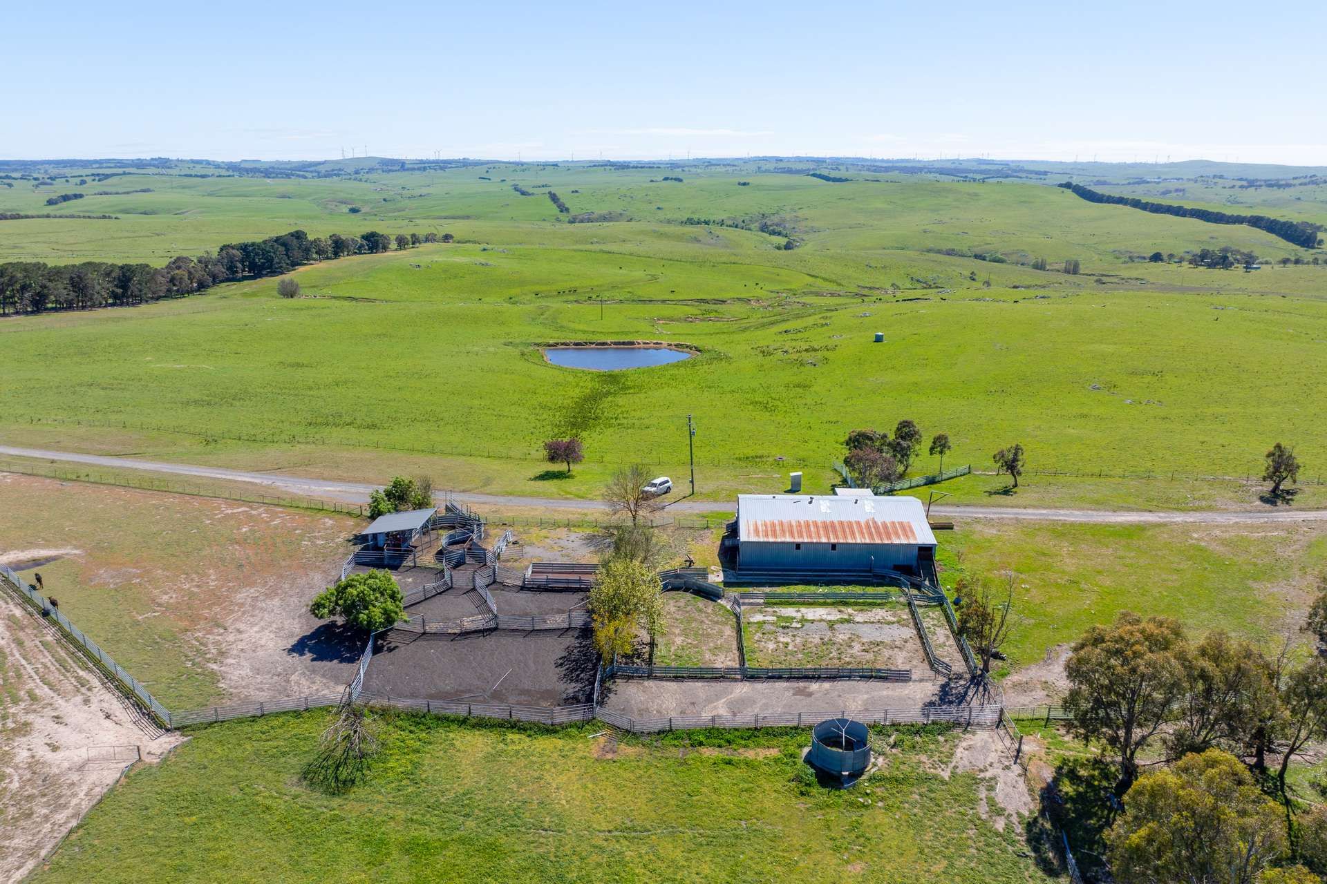 cattle and sheep properties for sale NSW