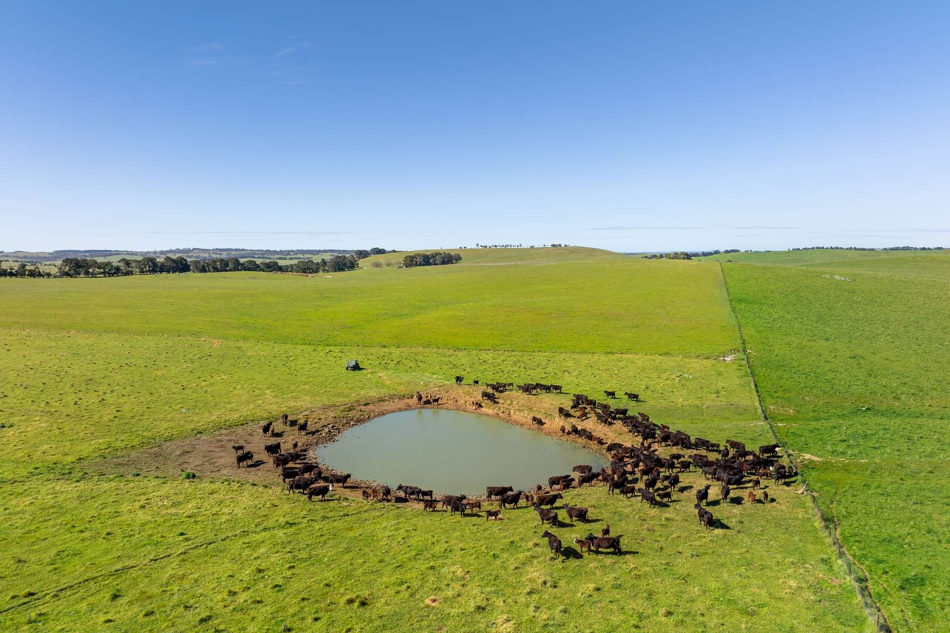 cattle and sheep properties for sale NSW