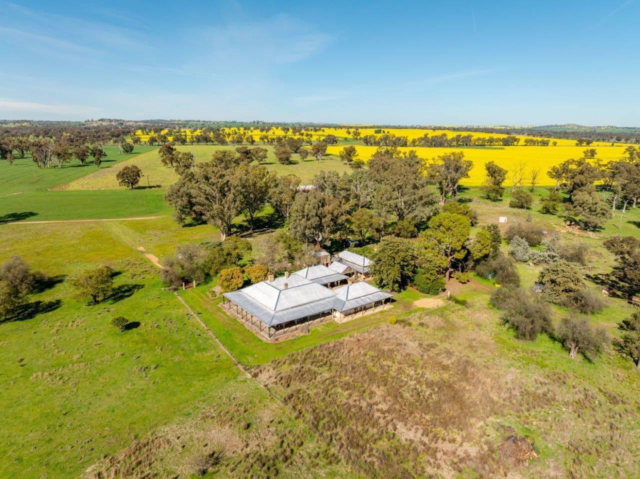 Rural Property For Sale Young NSW