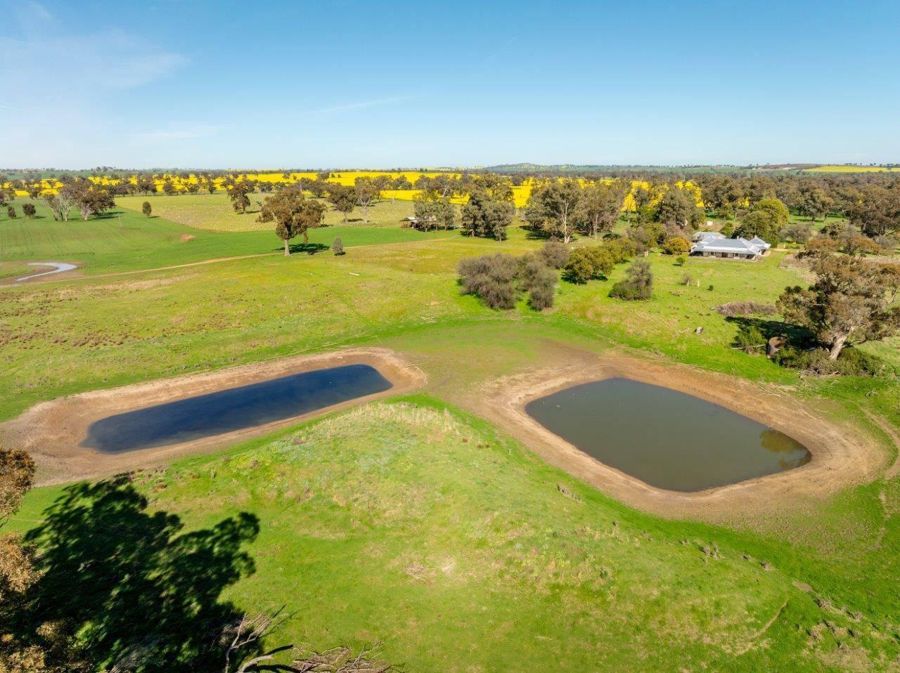 Rural Property For Sale Young NSW