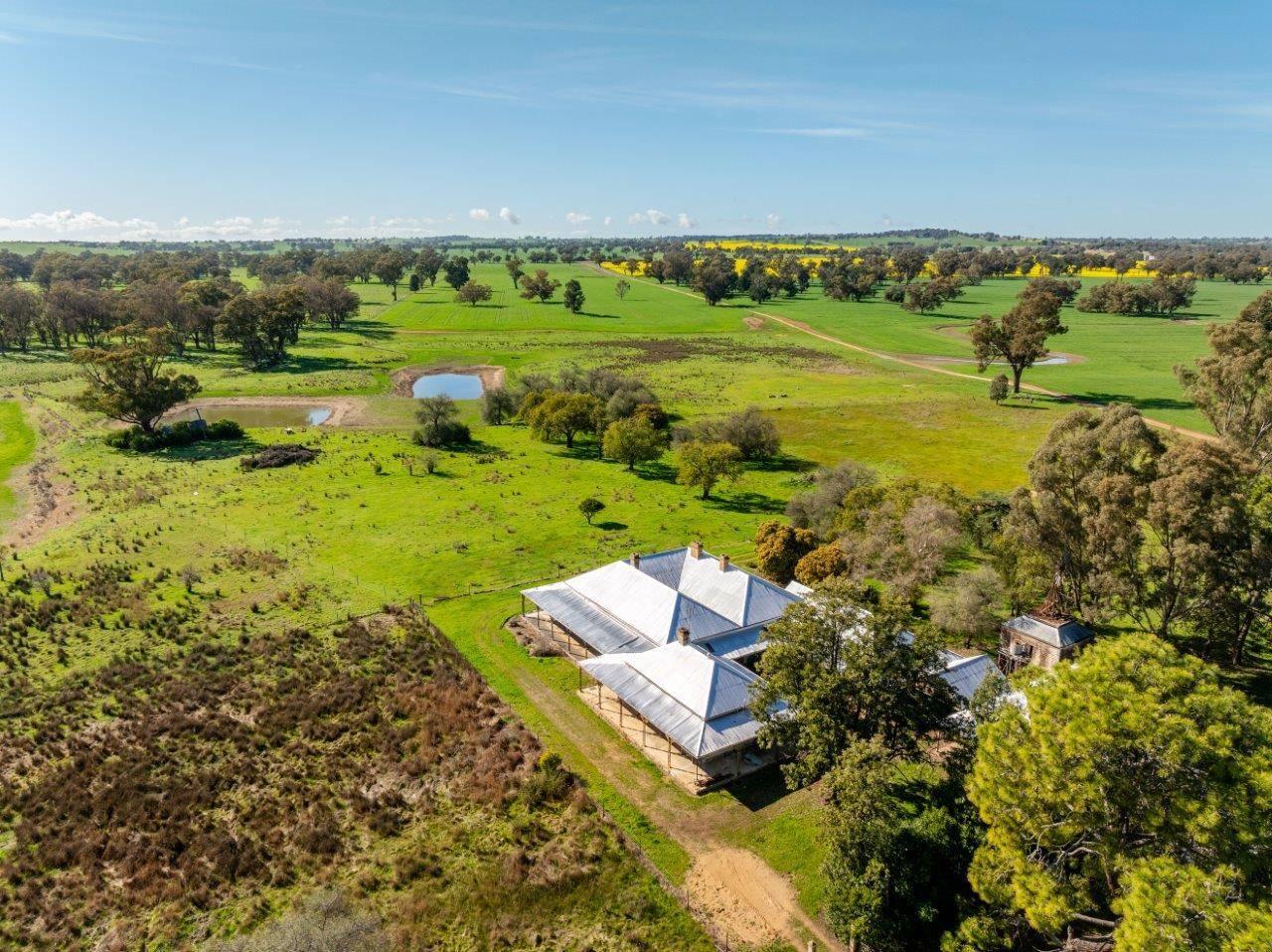 Rural Property For Sale Young NSW