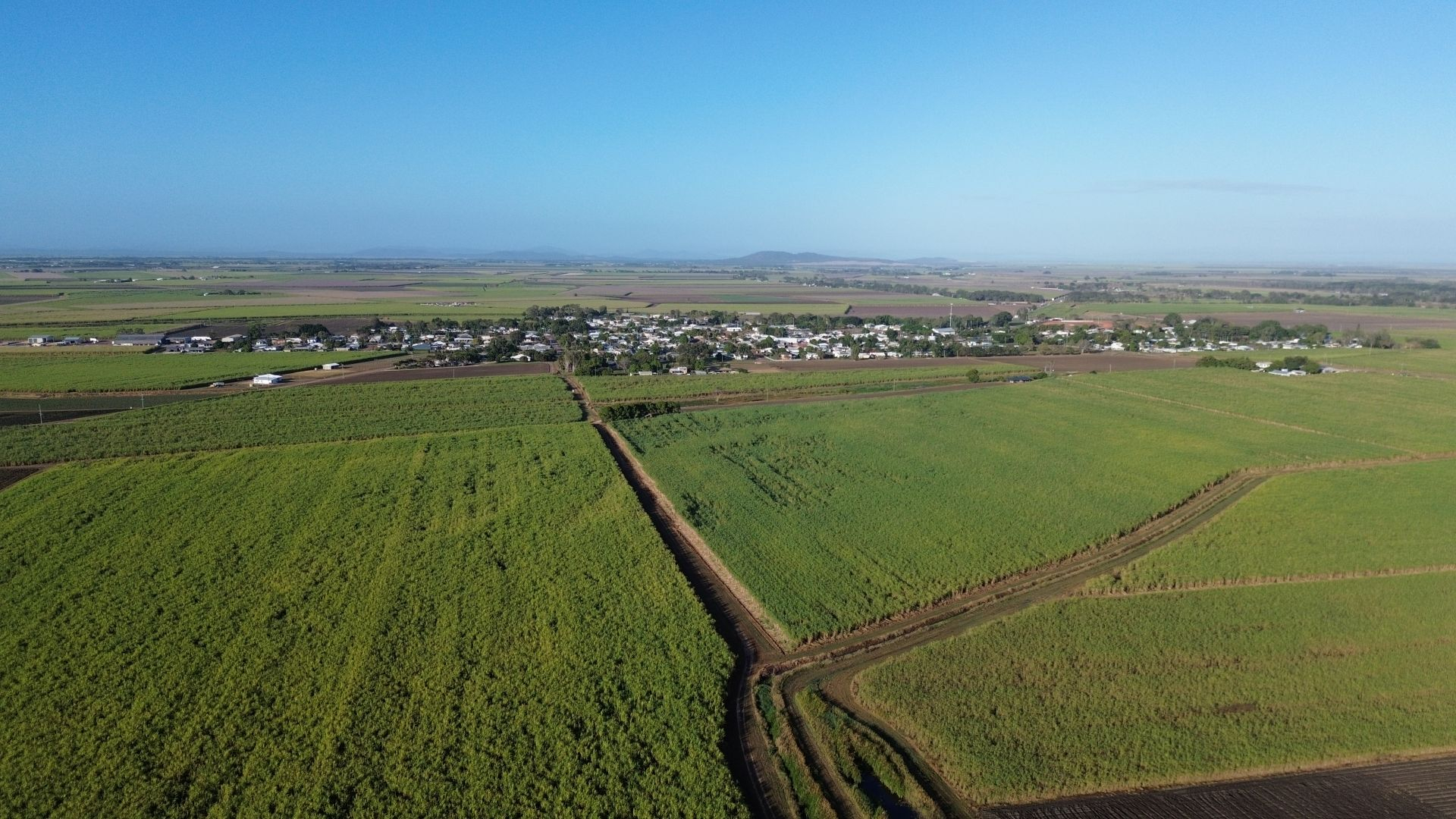 Sugarcane Farm For Sale QLD