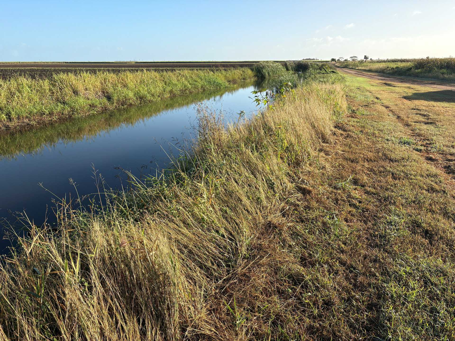Sugarcane Farm For Sale QLD