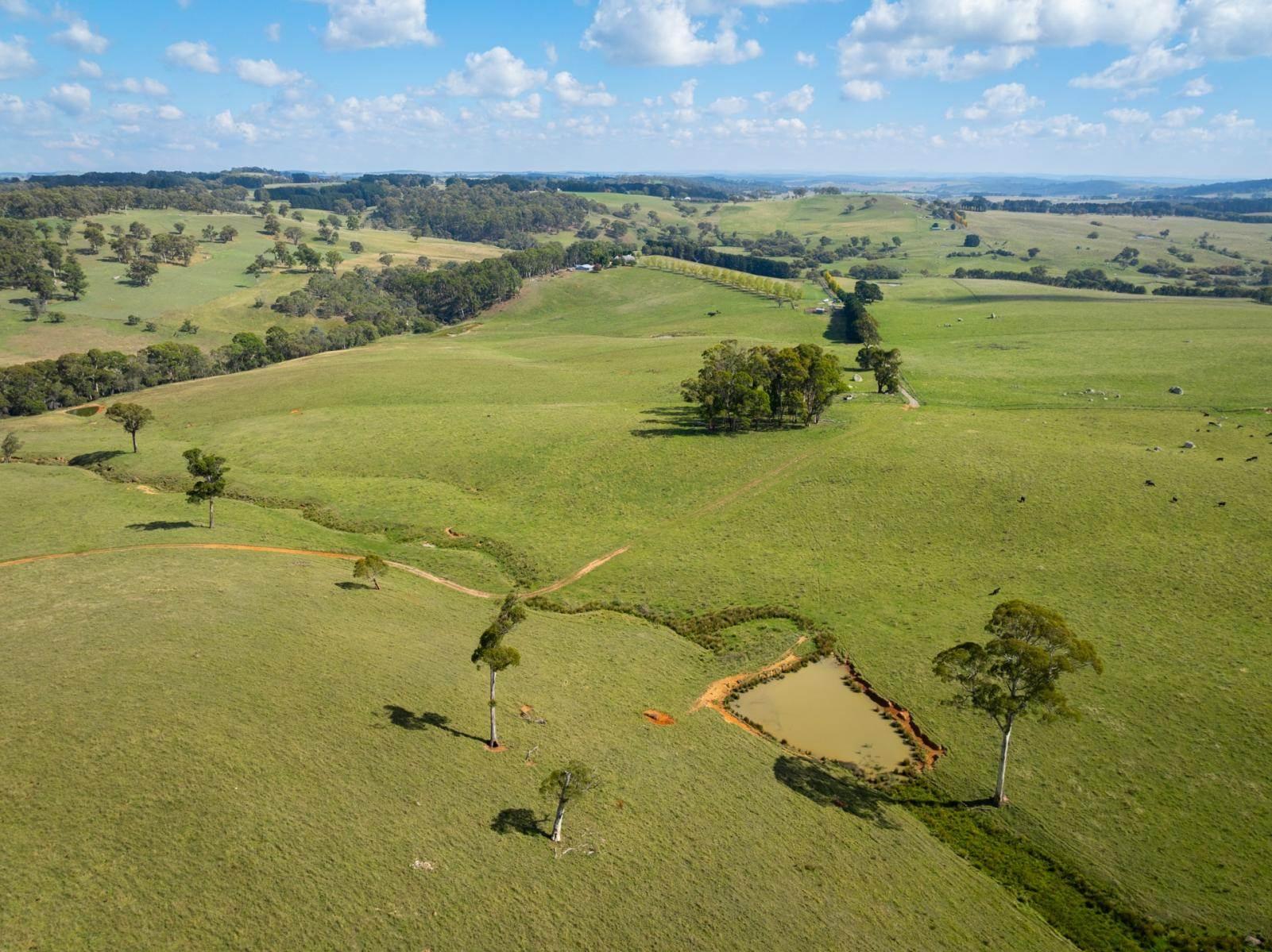 Farm For Sale NSW Central Tablelands