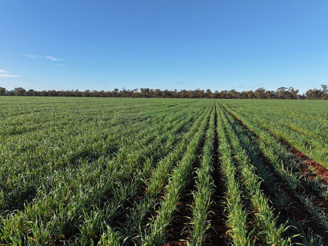rural property for sale NSW