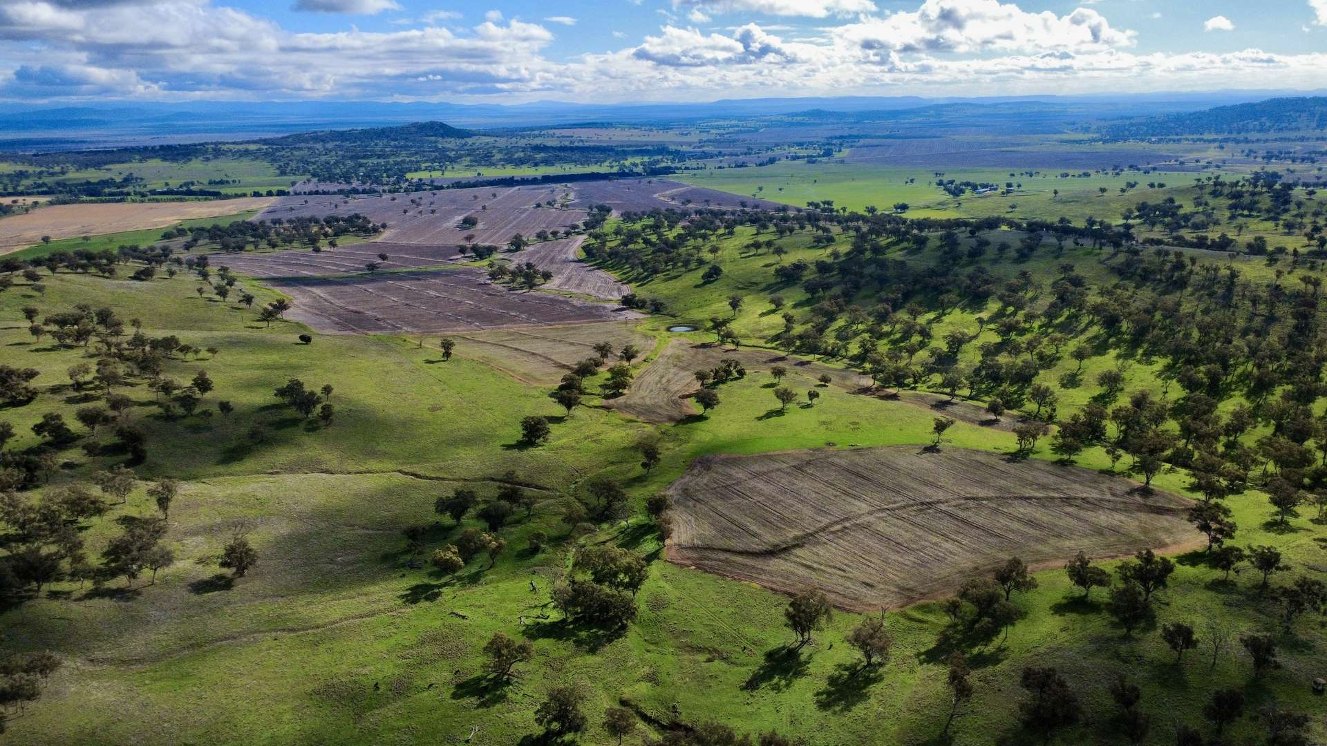 Mixed Farm For Sale NSW