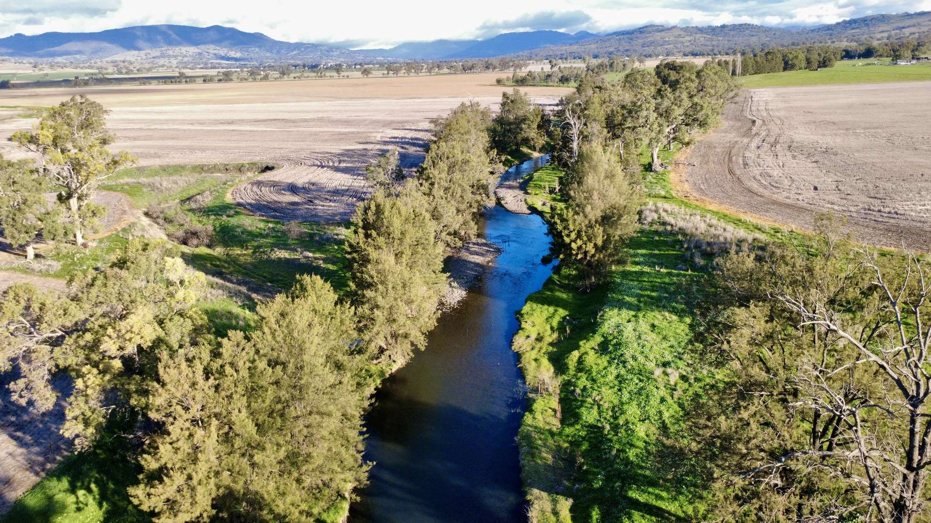 Mixed Farm For Sale NSW