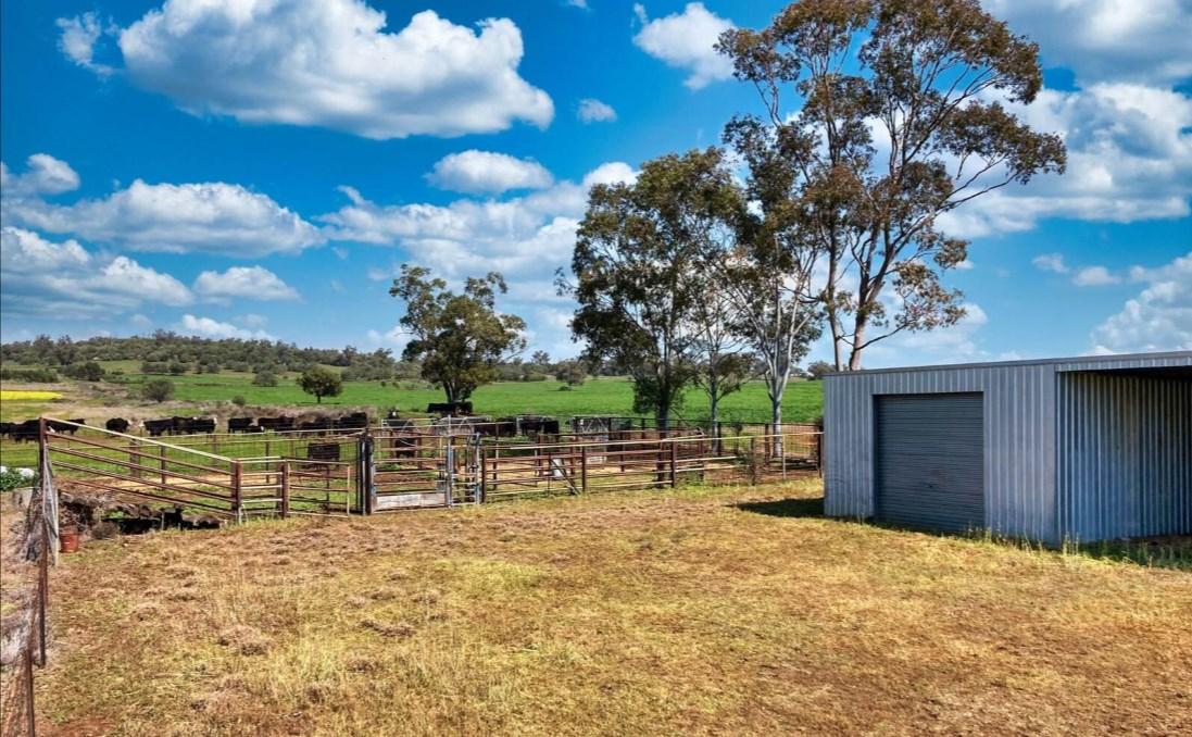 Rural Property For Sale Gunnedah NSW