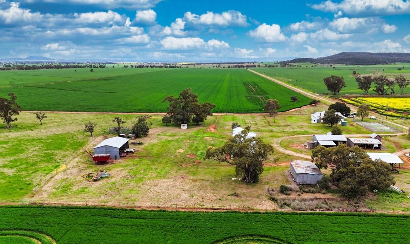 Rural Property For Sale Gunnedah NSW