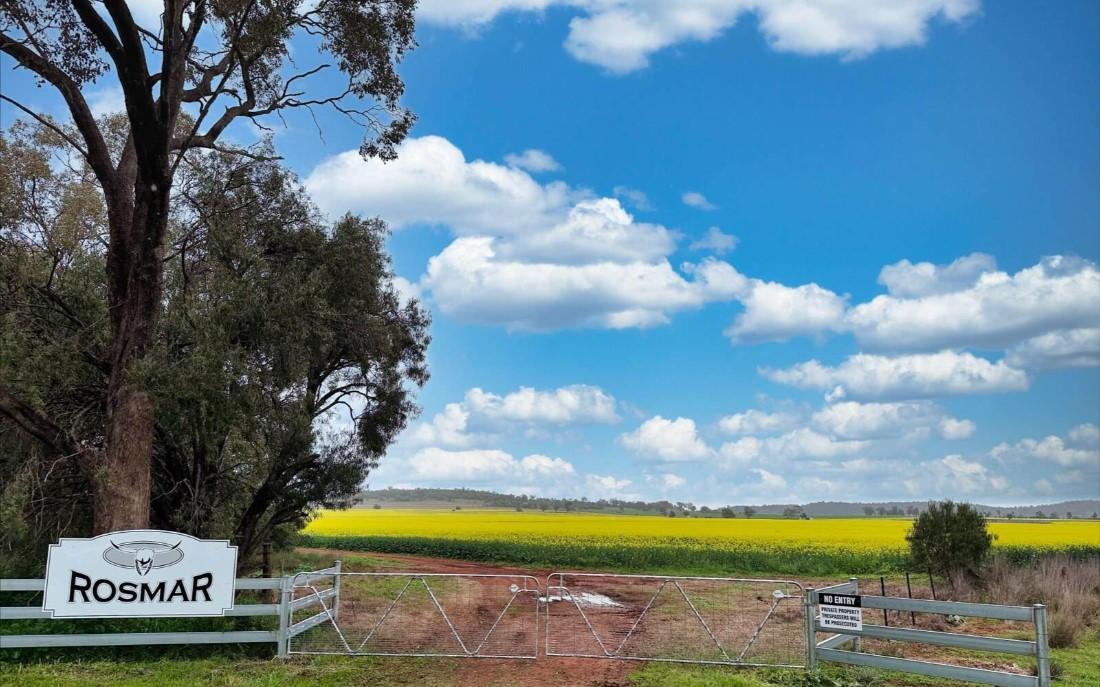 Rural Property For Sale Gunnedah NSW