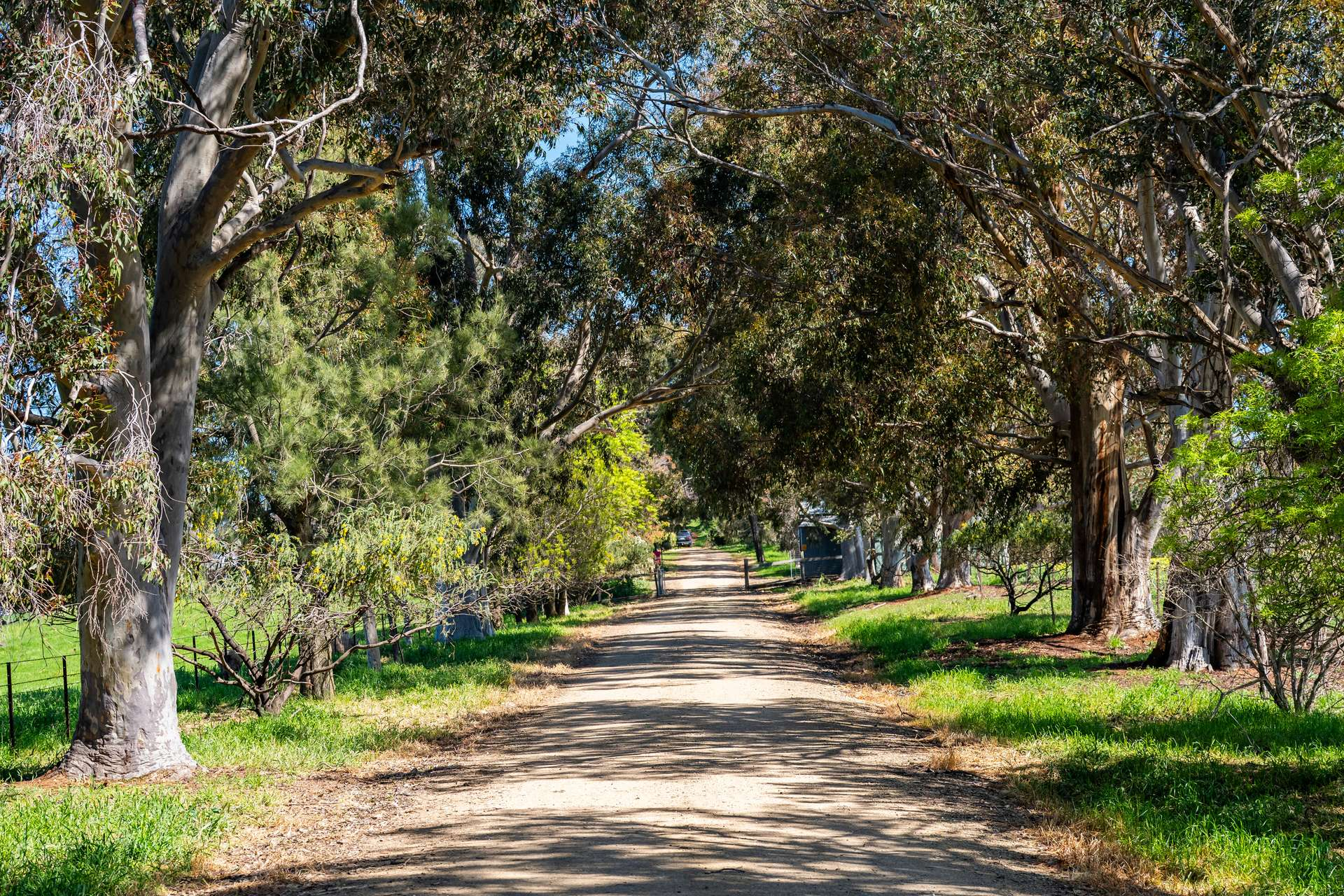 rural property for sale NSW