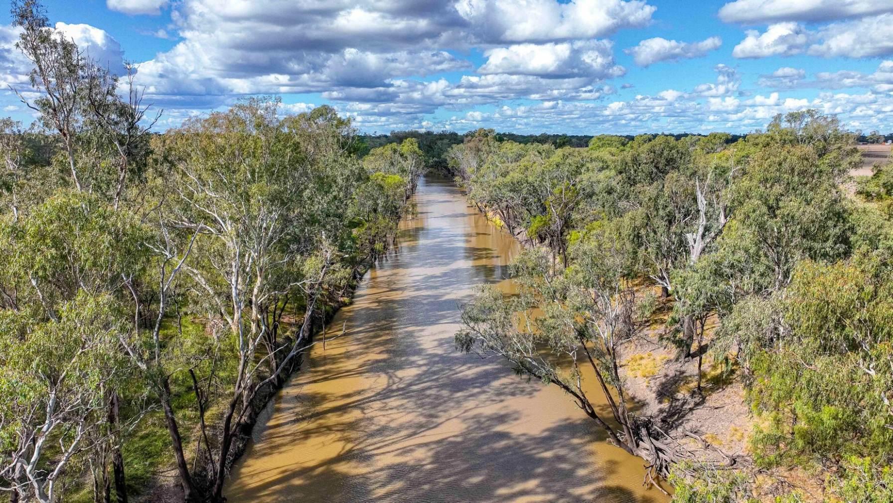 Farm for Sale Darling Downs