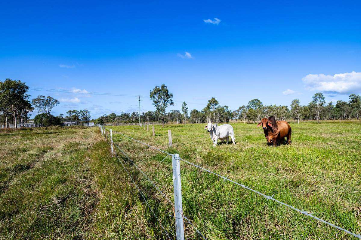 cattle property for sale QLD