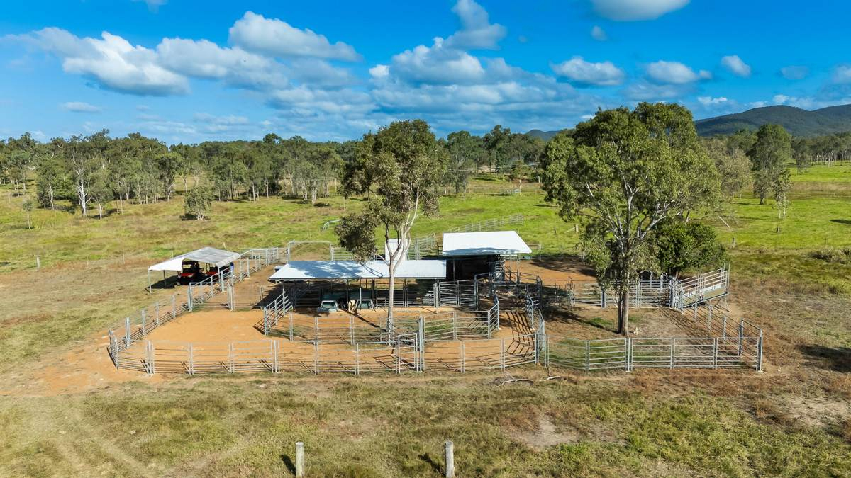 cattle property for sale QLD