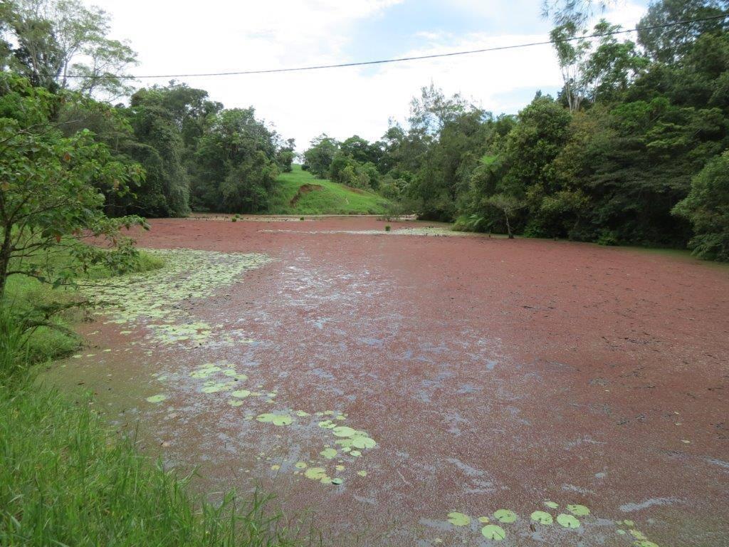 Cattle Property For Sale QLD