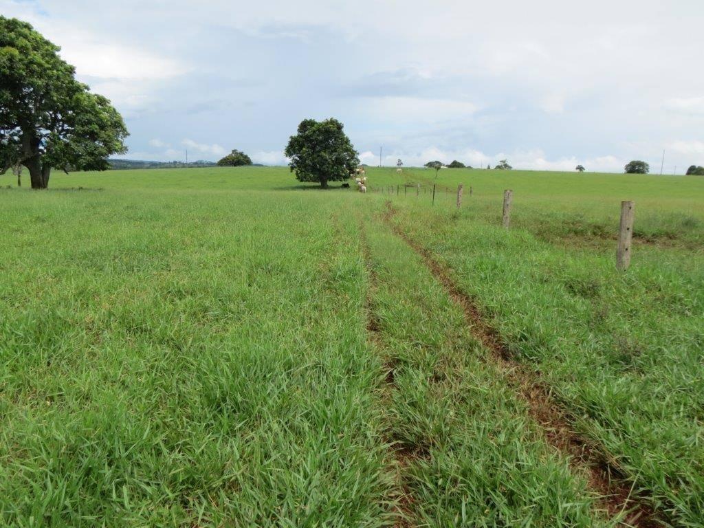 Cattle Property For Sale QLD