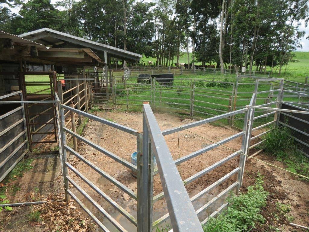 Cattle Property For Sale QLD