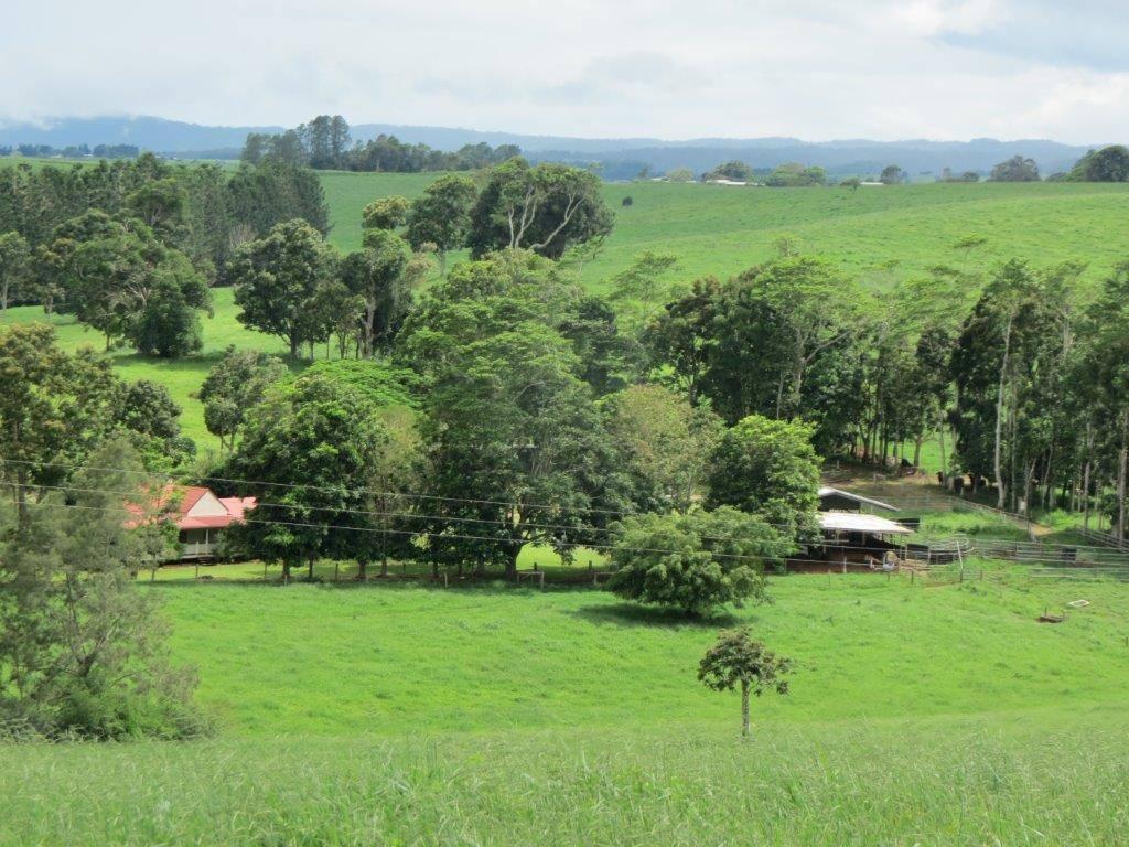 Cattle Property For Sale QLD