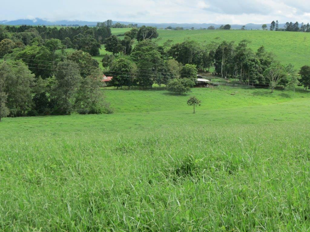 Cattle Property For Sale QLD