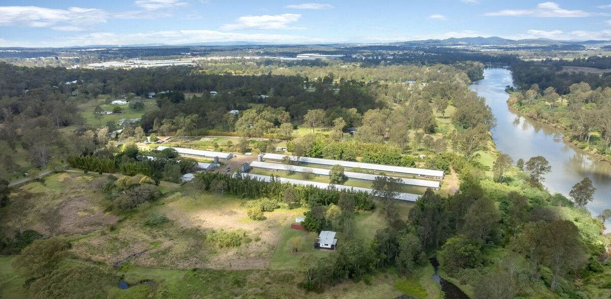 poultry farm for sale QLD