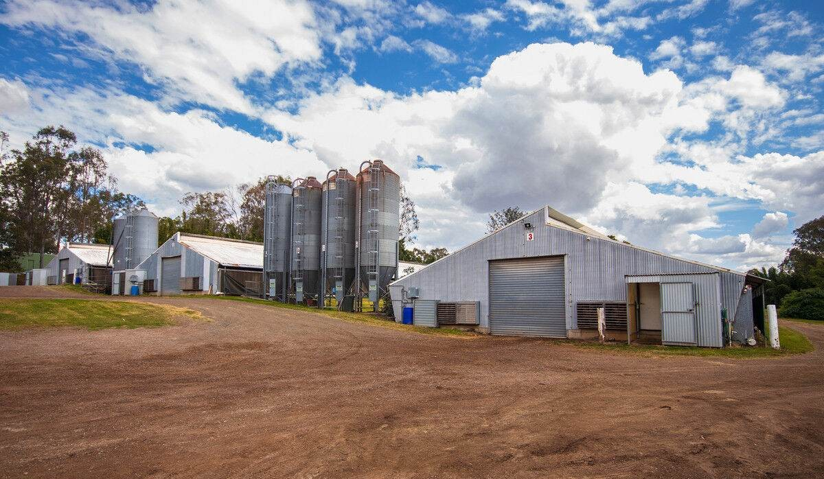 poultry farm for sale QLD