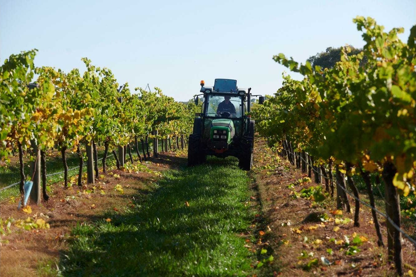 vineyard for sale VIC