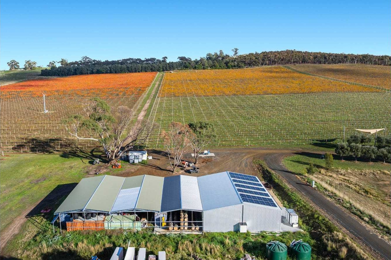 vineyard for sale VIC