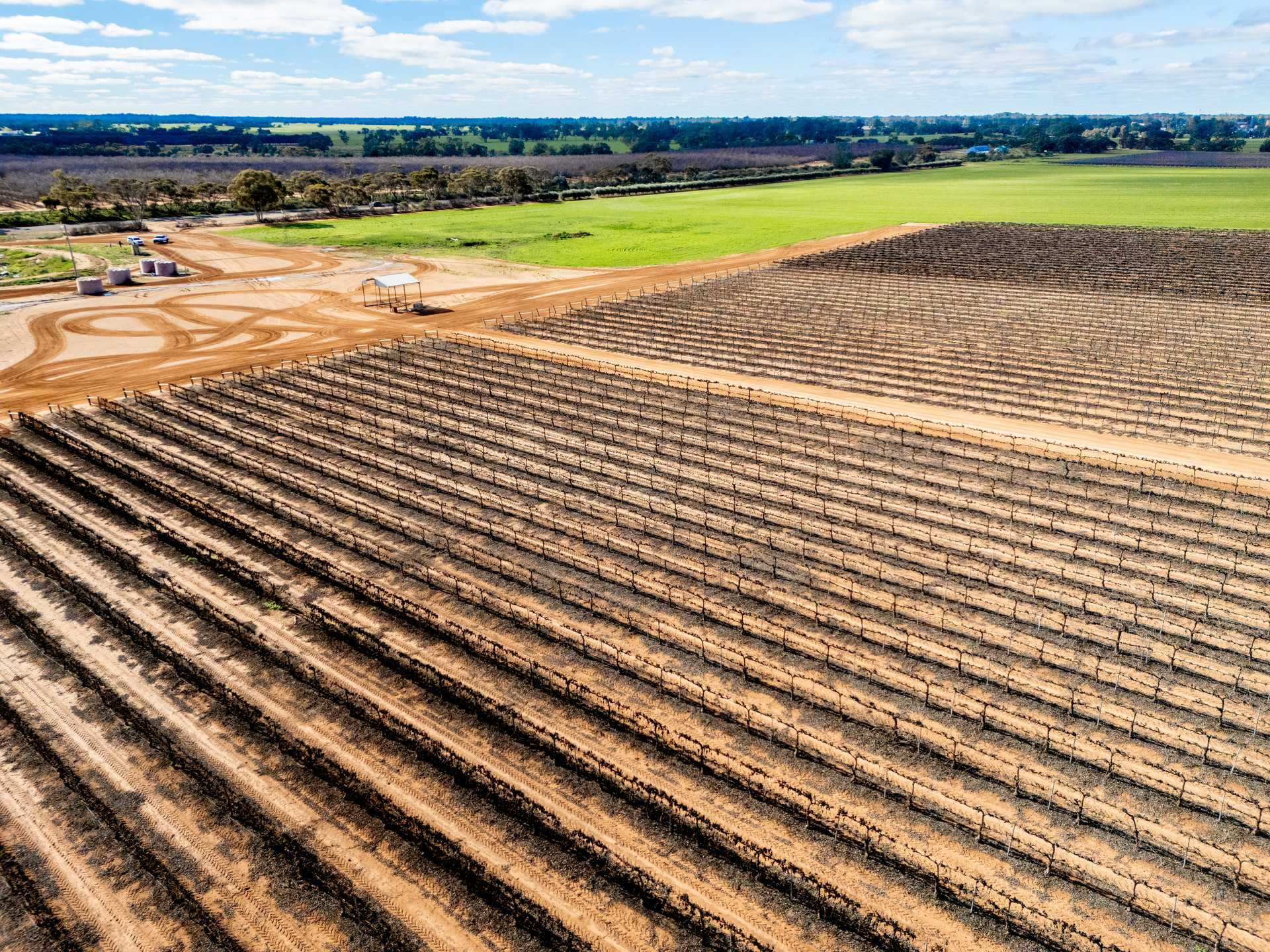 vineyard for sale VIC