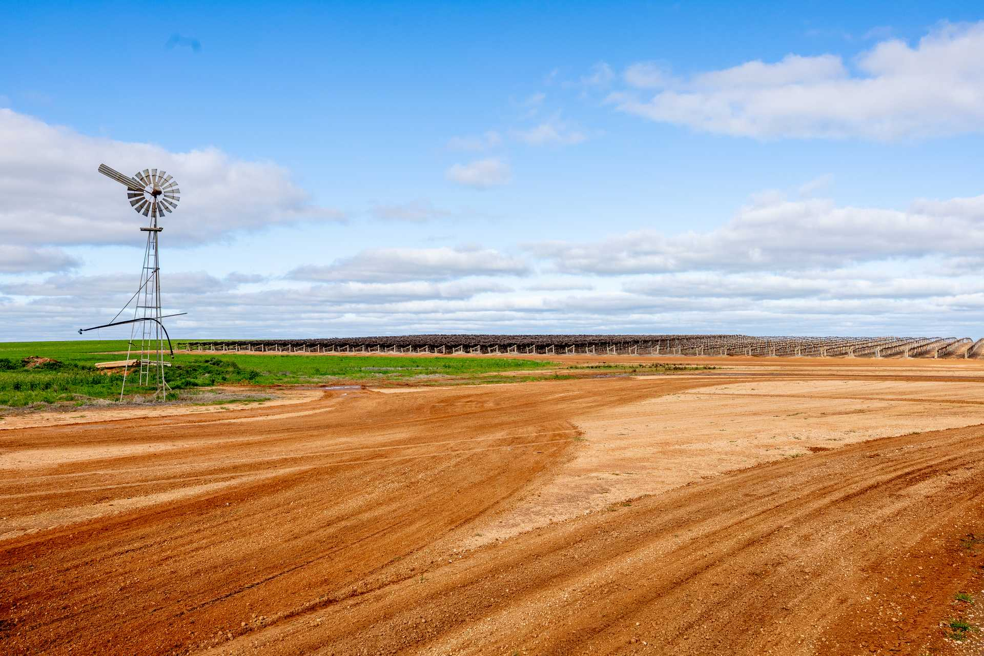 vineyard for sale VIC