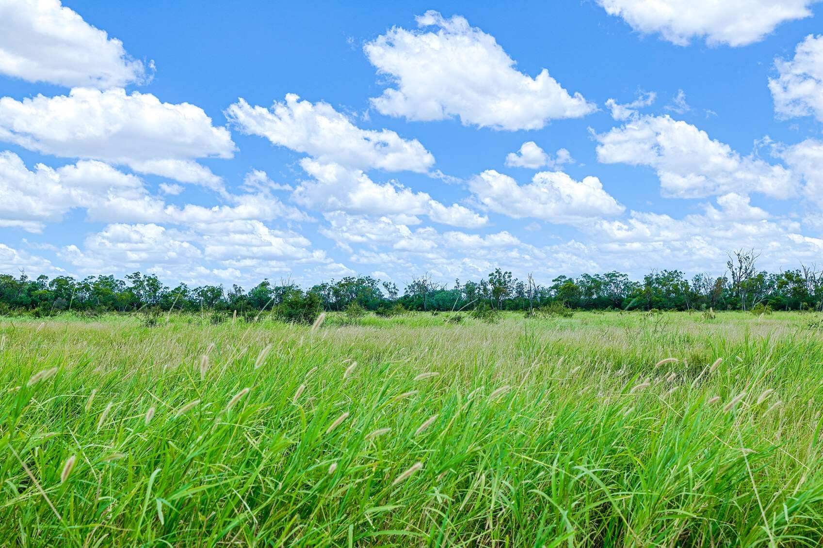rural property for sale QLD