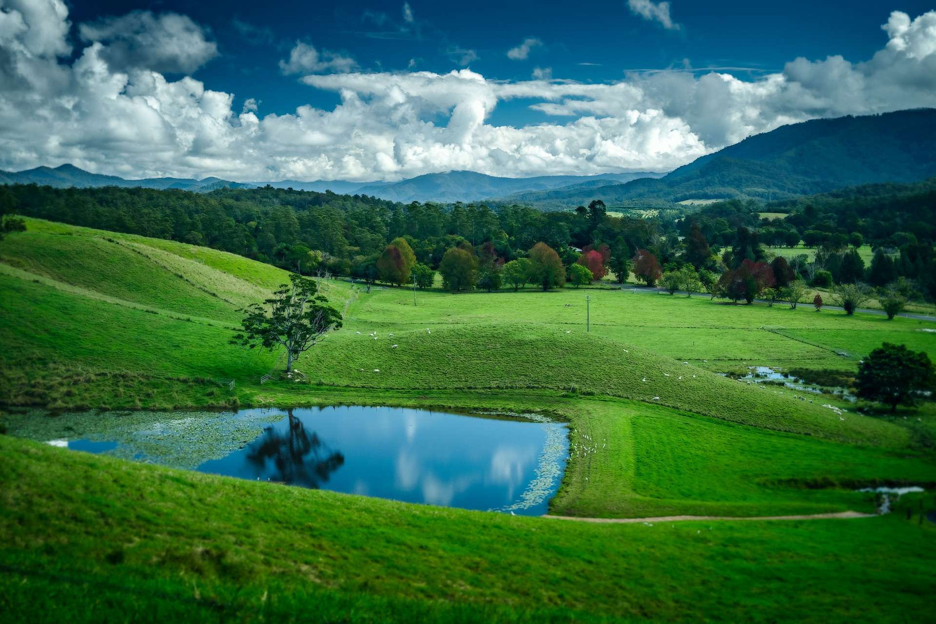 lifestyle property for sale NSW