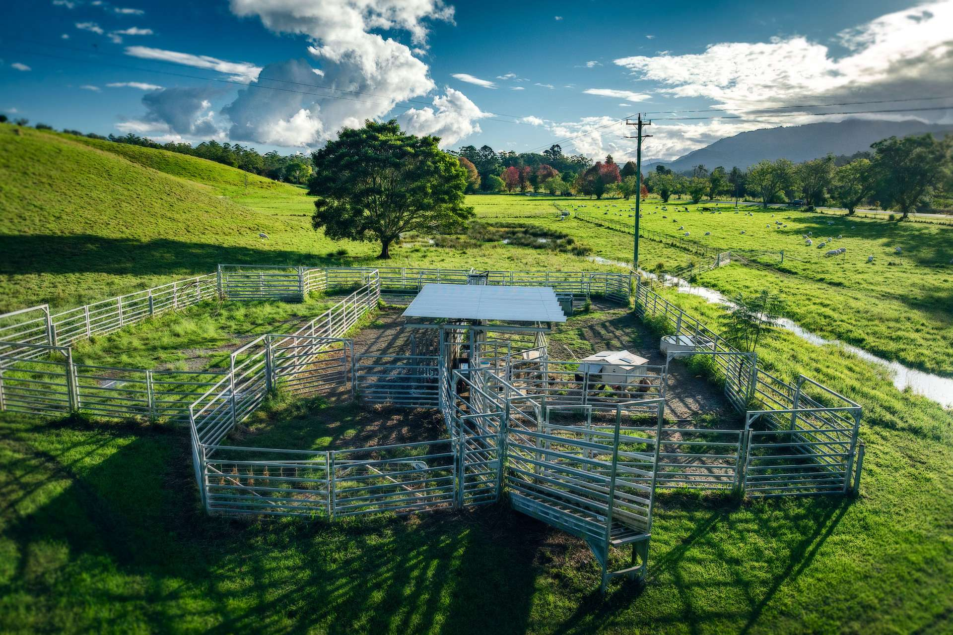 lifestyle property for sale NSW