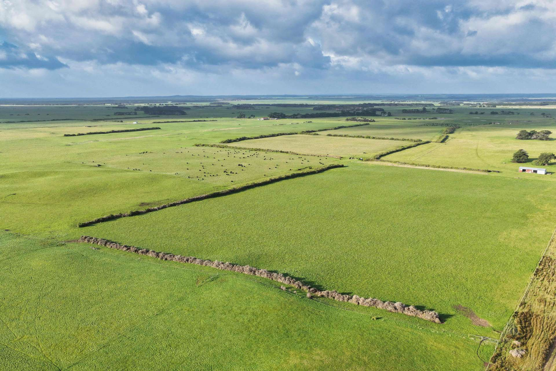 Cattle Property For Sale TAS