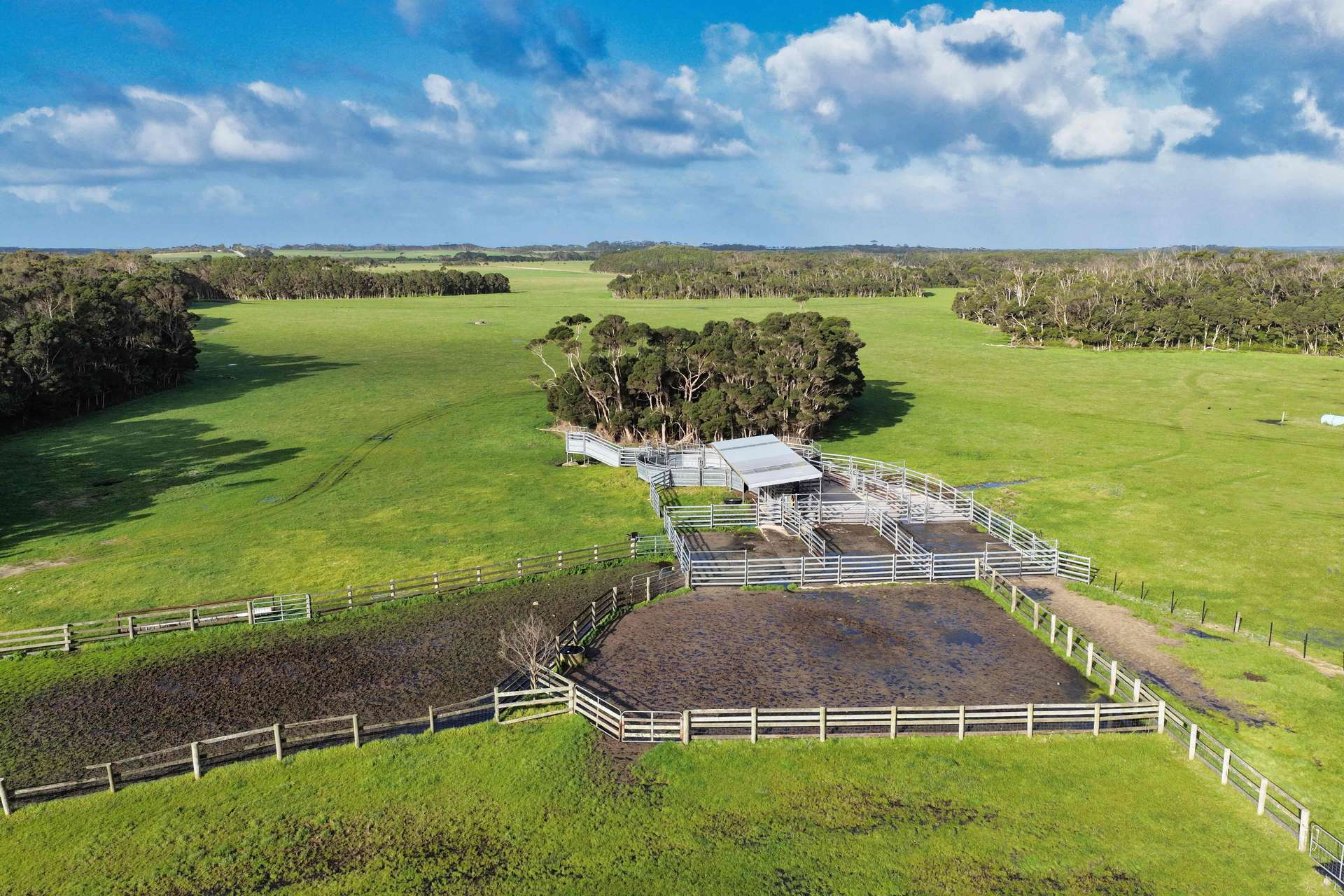 Cattle Property For Sale TAS