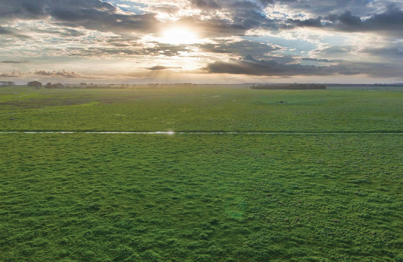 Cattle Property For Sale TAS